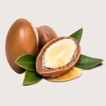 Inhaltsstoff Arganöl (Argania Spinosa Kernel Oil)