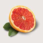 Inhaltsstoff Grapefruit
