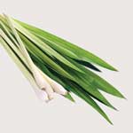 Inhaltstoff Lemongrass